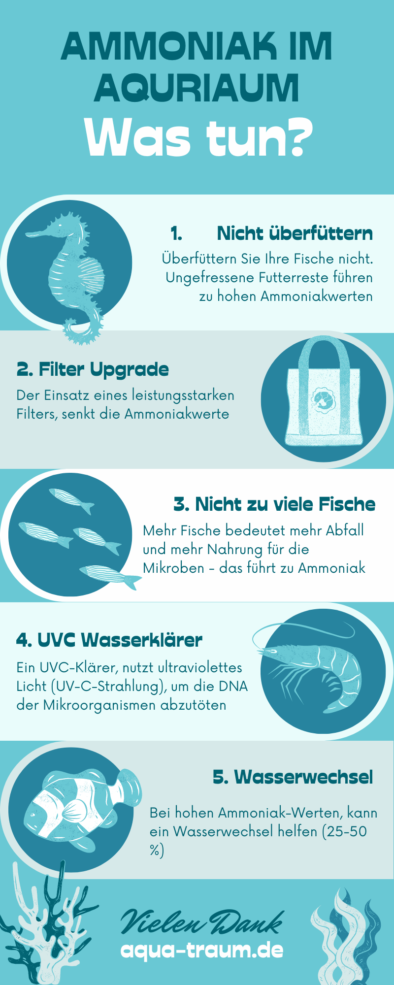 Infografik Ammoniak im Aquarium