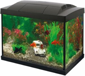 kleines Aquarium 20 Liter