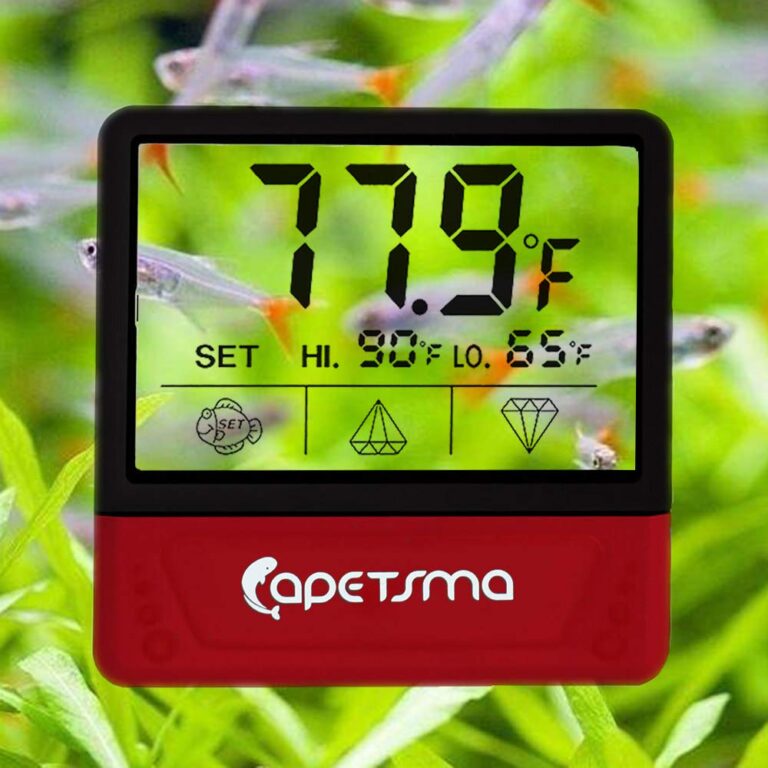 Aquarium Thermometer Test 2025: Die 3 besten digitalen Modelle im Vergleich