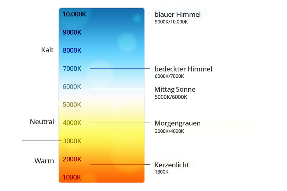 Vergleich verschiedener Lichtfarben im Aquarium