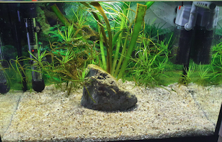 aquarium neu eingelaufen