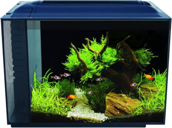 Garnelen Community Aquarium 60L