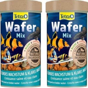 Welsfutter Aquarium