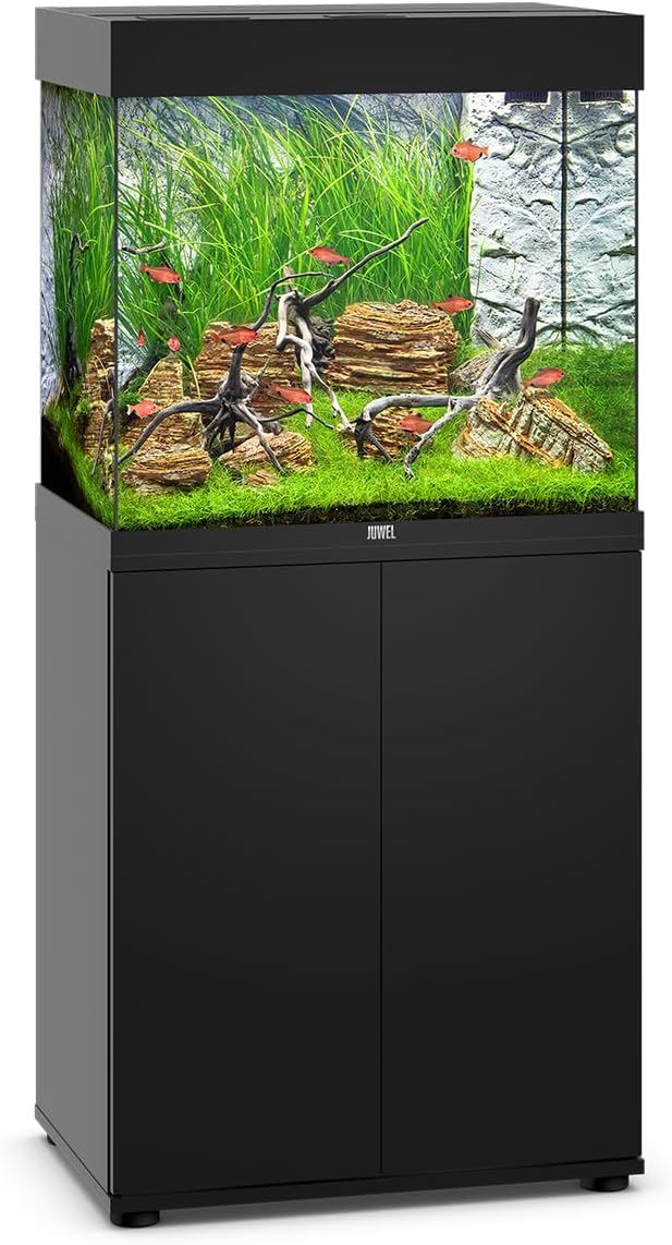 JUWEL Lido 120 LED Aquarium 120l mit Unterschrank in Schwar
